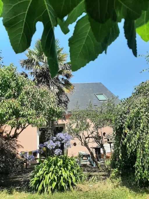La Maison Rose - Avec Grand Jardin Clos A 300M De La Mer Hauteville-sur-Mer Exterior foto